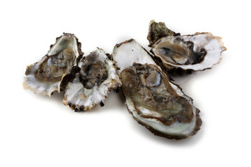 Opened oyster