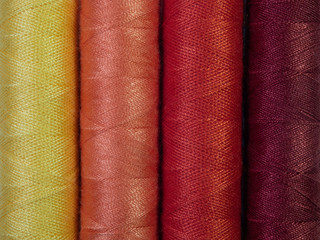Set of multi-hue thread bobbins.