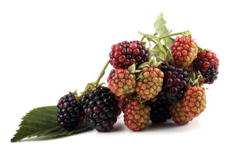 Cluster of blackberries