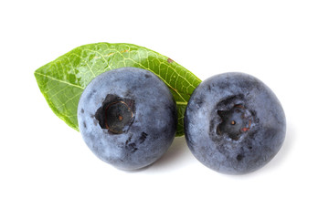 Blueberry and leaf