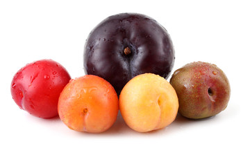 Group of plums