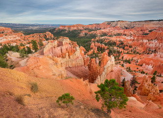Rock towers Hoodoos in National Park Bryce Canyon, USA