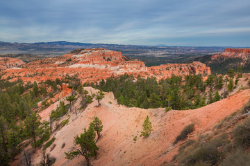 Fototapeta na wymiar Red rocks in National Park Bryce Canyon, USA