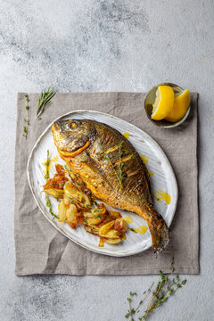 Grilled sea bream or dorada on gray plate. Gray background