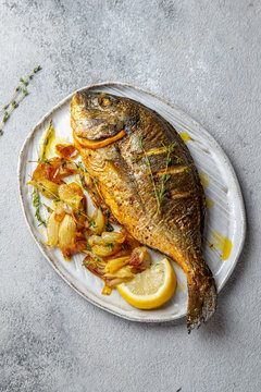 Grilled sea bream or dorada on gray plate. Gray background