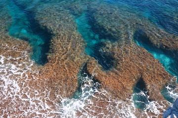 澄んだ海中に見えたサンゴ礁の模様