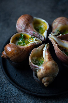 Giant snails escargots baked with butter, garlic and parsley