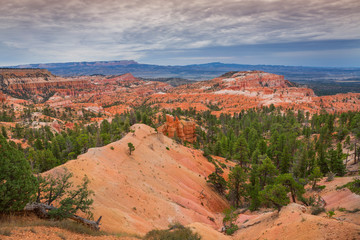 Fototapeta premium Bryce Canyon during sunset, USA