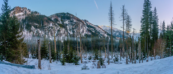 Panorama of rocky mountains in winter