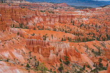 Rock towers Hoodoo in National Park Bryce Canyon, USA
