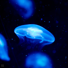 planets in outer space