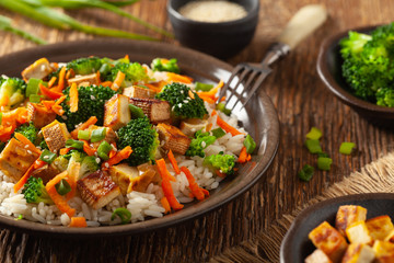 Tofu with rice and vegetables. Served on brown plate.