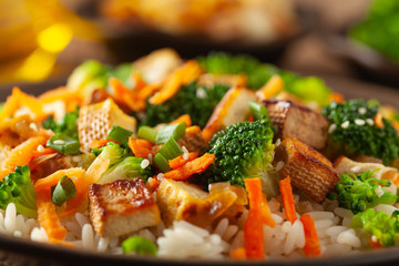 Tofu with rice and vegetables. Served on brown plate. Close up.