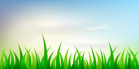 Fototapeta na wymiar Beautiful vector sunny lawn or meadow with fluffy clouds and sun in the sky. Realistic vector background
