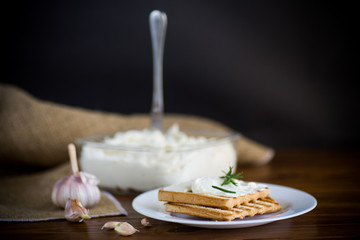 fried toast bread with garlic curd filling on a table
