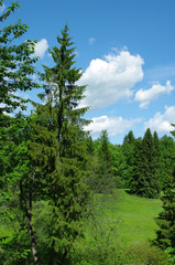 Parc du palais de Pavlovsk, Russie