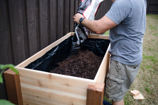 Man pours a bag of top soil into a DIY raised wooden suburban backyard container garden box in preparation for planting organic vegetables.