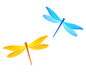 Blue and yellow dragonfly isolated vector illustration. Cool darning-needle insects. Garden water dragonfly vector wildlife creatures. Damselfly butterflies.