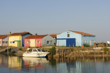 Fototapeta na wymiar Maisons sur pilotis de l'île d'Oléron