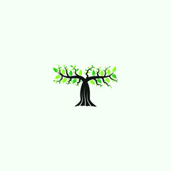 beautiful tree in the shape of the letter T with a strong trunk and leaves
