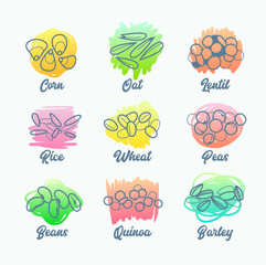 Set Cereal Types, Isolated Icons of Corn, Oat and Lentil, Rise Wheat and Peas, Beans Quinoa and Barley. Stylized Grain Labels for Groats Packing Design, Advertising Healthy Food. Vector Illustration