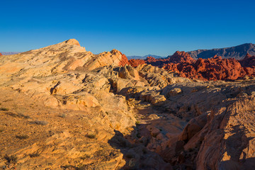 Yellow rocks with blue sky in Valley of Fire, USA