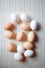 eggs on white background