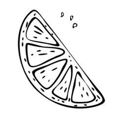 Slice of lemon. Slice of orange. Vector. Flat image. Doodle element for design. Citrus.