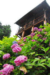 善峯寺の展望台と紫陽花