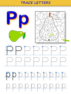 Tracing letter P for study alphabet. Printable worksheet for kids. Education page for coloring book. Developing children skills for writing and tracing ABC. Vector cartoon image for school textbook.