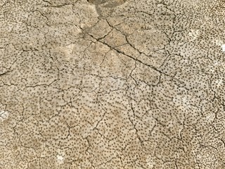 cracked earth texture