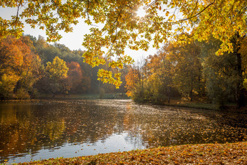Colorful autumn foliage in Markuciai park in Vilnius, Lithuania