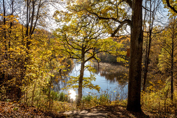 Colorful autumn foliage in Markuciai park in Vilnius, Lithuania