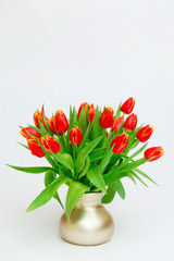 Bouquet of tulips in a vase on a light background