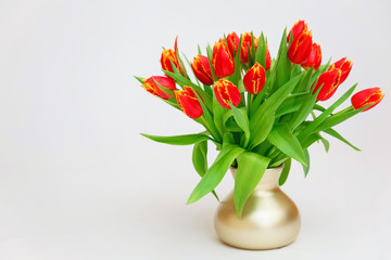 Bouquet of tulips in a vase on a light background