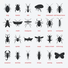 Foto op Plexiglas Pest Control insect black silhouette set © natbasil