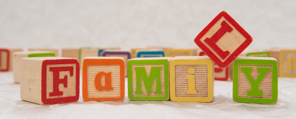 Kid Cubes spelling Family for Business