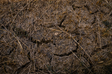  Turning the soil after planting