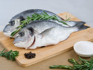 Fresh uncooked dorado or sea bream fish with salt, peppers and rosemary on cutting board....