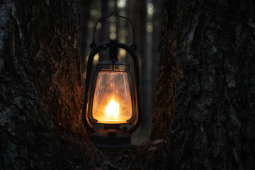 Mystical scene with old kerosene lamp in the forest. Vintage gas lantern lighting. Copy space.