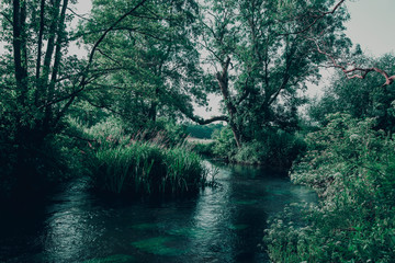 Fototapeta premium River Whitewater at Bramshill England