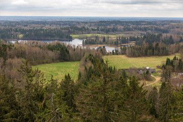 Fototapeta na wymiar observation tower in estonia landscape