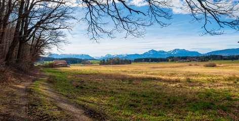 Moorlandschaft in Laufen, Berchtesgadener Land, im Frühling