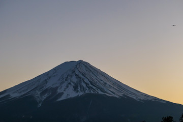 Fototapeta premium Widok na górę Fuji z brzegu jeziora Kawaguchiko w Japonii. Delikatne kolory zachodu słońca – złota godzina. Szczyt wulkanu pokryty warstwą śniegu. Spokój i cisza. Brzeg jeziora porośnięty jest trzcinami.