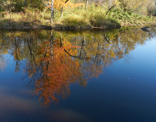 A reflection of autumn.