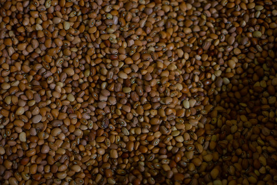 Granos variados en merca panama