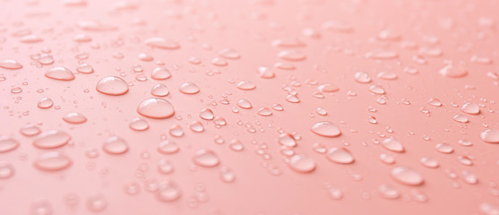 Lots of different rain water drops on a pink background, side view