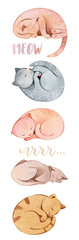 Watercolor hand painted cute cartoon sleeping cats composition