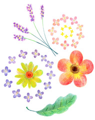 色鉛筆で描いた、手書きの花のイラストレーション