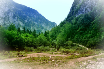 Fototapeta na wymiar walking path in the Caucasus mountains